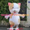 Mascot hơi hình con mèo 2 MASCOT HOI GIA RE 1